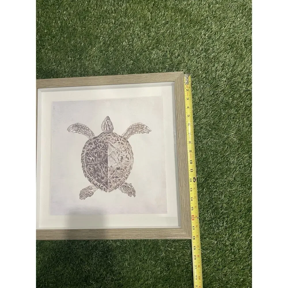 Coastal Sea Turtle Sketch Shadow Box Framed Wall Art Print Grey Matt 18